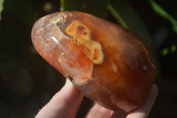 Polished Ocean Flower Agate Standing Free Forms x 3 From Antsahalova, Madagascar