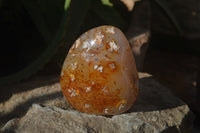 Polished Ocean Flower Agate Standing Free Forms x 3 From Antsahalova, Madagascar