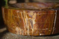 Polished Red Podocarpus Petrified Wood Bowl x 1 From Mahajanga, Madagascar