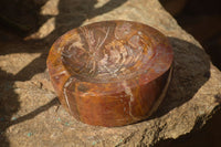 Polished Red Podocarpus Petrified Wood Bowl x 1 From Mahajanga, Madagascar