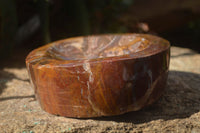 Polished Red Podocarpus Petrified Wood Bowl x 1 From Mahajanga, Madagascar