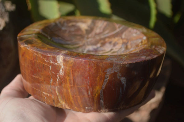 Polished Red Podocarpus Petrified Wood Bowl x 1 From Mahajanga, Madagascar