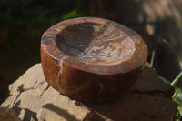 Polished Red Podocarpus Petrified Wood Bowl x 1 From Mahajanga, Madagascar