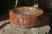 Polished Red Podocarpus Petrified Wood Bowl x 1 From Mahajanga, Madagascar