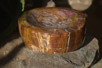 Polished Red Podocarpus Petrified Wood Bowl x 1 From Mahajanga, Madagascar