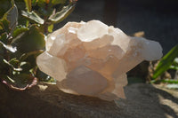 Natural Quartz Cluster x 1 From Madagascar