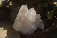 Natural Quartz Cluster x 1 From Madagascar