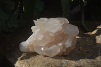 Natural Quartz Cluster x 1 From Madagascar