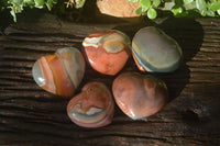 Polished Polychrome Jasper Hearts x 5 From Mahajanga, Madagascar