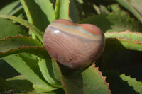 Polished Polychrome Jasper Hearts x 5 From Mahajanga, Madagascar