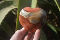 Polished Polychrome Jasper Hearts x 5 From Mahajanga, Madagascar