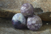 Polished Lepidolite with Pink Rubellite and Indicolite Galet-Palm Stones x 24 From Ambatondrazaka, Madagascar