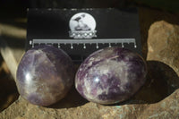 Polished Lepidolite with Pink Rubellite and Indicolite Galet-Palm Stones x 24 From Ambatondrazaka, Madagascar