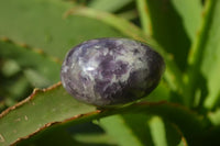 Polished Lepidolite with Pink Rubellite and Indicolite Galet-Palm Stones x 24 From Ambatondrazaka, Madagascar