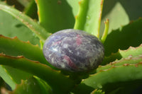 Polished Lepidolite with Pink Rubellite and Indicolite Galet-Palm Stones x 24 From Ambatondrazaka, Madagascar