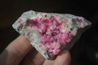 Natural Salrose Cobaltion Dolomite Specimens x 12 From Kakanda, Congo