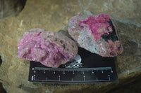 Natural Salrose Cobaltion Dolomite Specimens x 12 From Kakanda, Congo