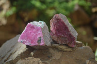 Natural Salrose Cobaltion Dolomite Specimens x 12 From Kakanda, Congo