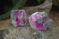 Natural Salrose Cobaltion Dolomite Specimens x 12 From Kakanda, Congo