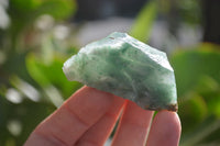 Natural Jade Cobbed Specimens x 35 From Swaziland