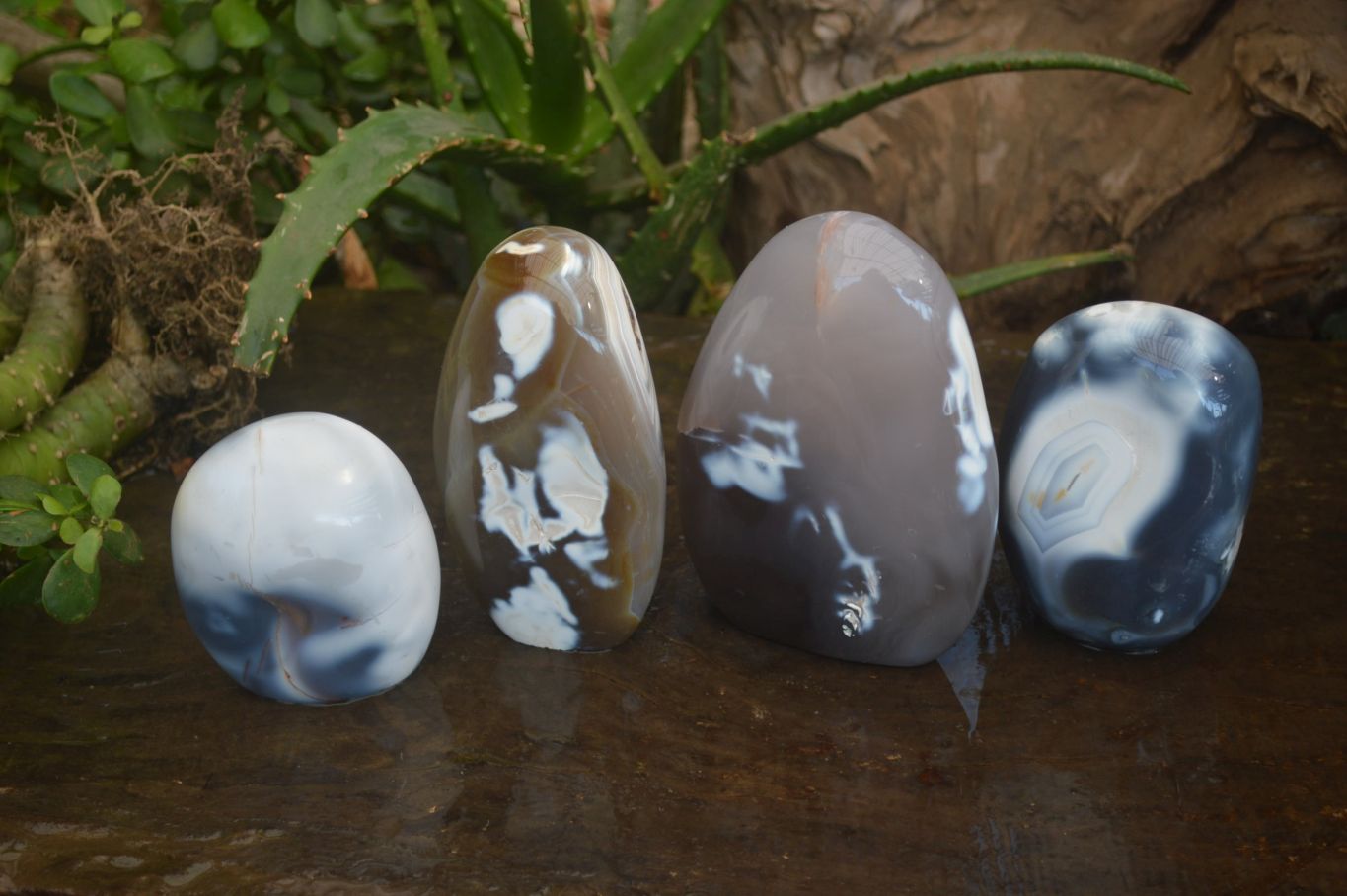 Orca Agate, Penguin Agate Crystal Sculpture (1x), Special Crystal, cheapest from Madagascar, Ethical & Natural, High Quality (Medium) *NEW*