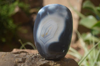 Polished Snow / Orca Agate Standing Free Forms x 4 From West Coast, Madagascar