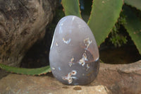 Polished Snow / Orca Agate Standing Free Forms x 4 From West Coast, Madagascar