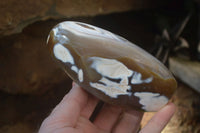 Polished Snow / Orca Agate Standing Free Forms x 4 From West Coast, Madagascar