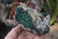 Natural Ball Malachite On Quartz Matrix Specimens x 2 From Kambove, Congo