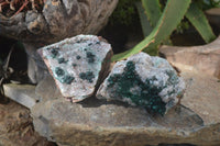 Natural Ball Malachite On Quartz Matrix Specimens x 2 From Kambove, Congo