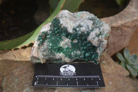 Natural Ball Malachite On Quartz Matrix Specimens x 2 From Kambove, Congo