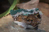 Natural Ball Malachite On Quartz Matrix Specimens x 2 From Kambove, Congo