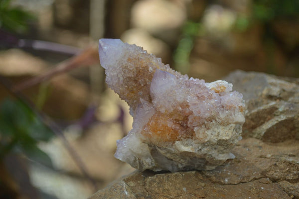 Natural Ametrine Spirit Quartz Clusters x 6 From Boekenhouthoek, South Africa