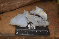 Natural Etched Blue Chalcedony Specimens with Pyrite x 35 From Nsanje, Malawi