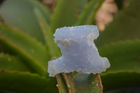 Natural Etched Blue Chalcedony Specimens with Pyrite x 35 From Nsanje, Malawi