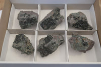 Natural Libethenite Crystals On Dolomite Matrix Specimens x 6 From Shituru, Congo