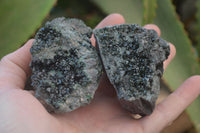 Natural Libethenite Crystals On Dolomite Matrix Specimens x 6 From Shituru, Congo