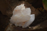 Natural Castle Quartz Crystals x 6 From Madagascar