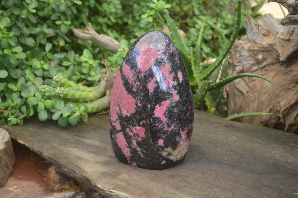 Polished Rhodonite Standing Free Form x 1 From Ambindavato, Madagascar