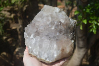 Natural Amethyst Agate Geode x 1 from Madagascar