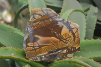 Polished On One Side Nguni Jasper Specimen's x 2 From Prieska, South Africa