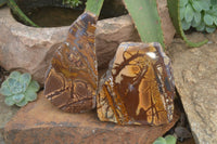 Polished On One Side Nguni Jasper Specimen's x 2 From Prieska, South Africa