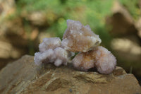 Natural Ametrine Spirit Quartz Clusters x 12 From Boekenhouthoek, South Africa