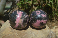 Polished Rhodonite Sphere x 2 From Ambindavato, Madagascar