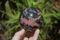 Polished Rhodonite Sphere x 2 From Ambindavato, Madagascar