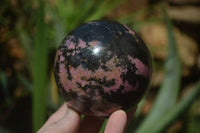 Polished Rhodonite Sphere x 2 From Ambindavato, Madagascar