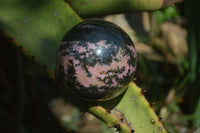 Polished Rhodonite Sphere x 2 From Ambindavato, Madagascar