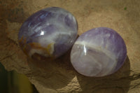 Polished Chevron Amethyst Galet-Palm Stones x 12 from Madagascar