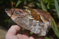 Polished On One Side Nguni Jasper x 2 From Prieska, South Africa