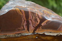 Polished On One Side Nguni Jasper x 2 From Prieska, South Africa